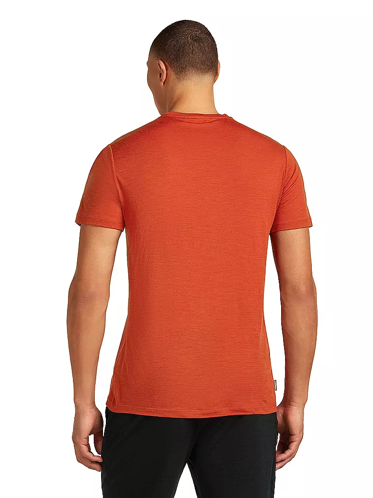 ICEBREAKER | T-shirt de sport homme Mount Pulse 150 Tech |
