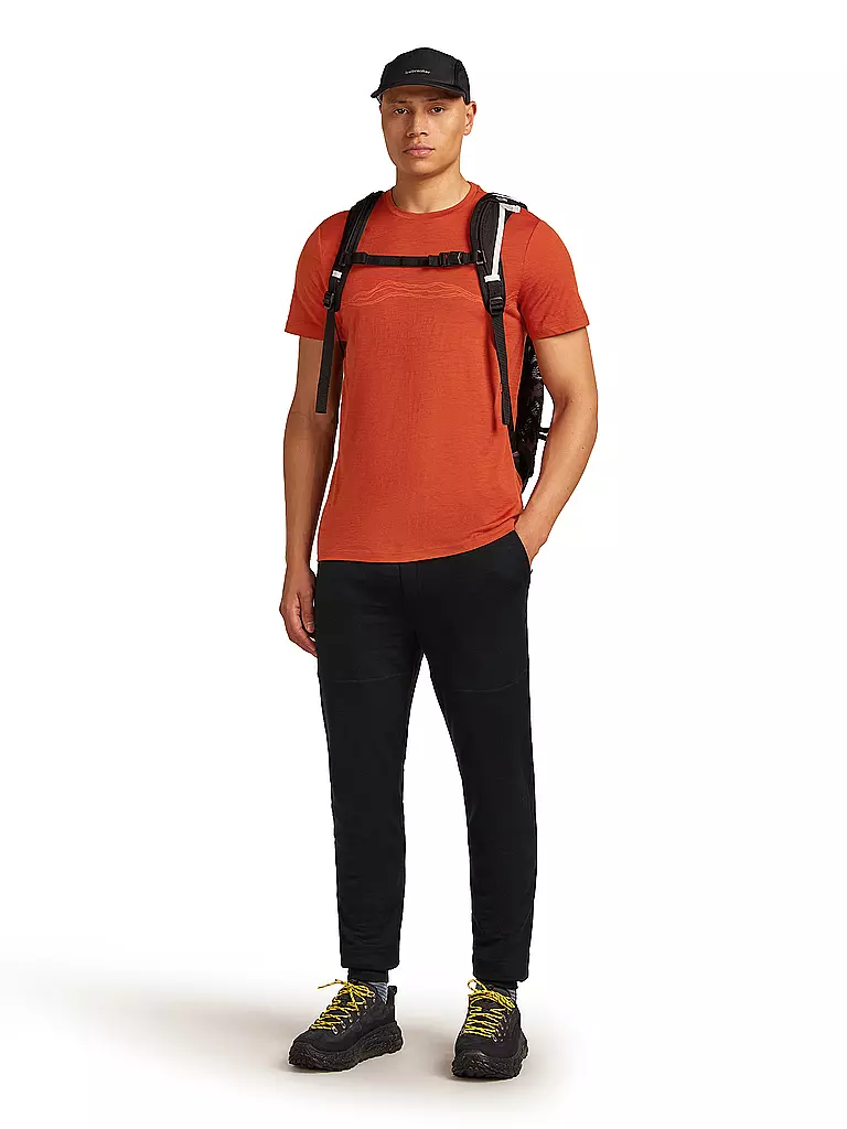 ICEBREAKER | T-shirt de sport homme Mount Pulse 150 Tech |