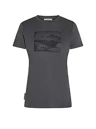 ICEBREAKER | T-shirt de sport femme Lake View 150 Tech-Lite | Gris