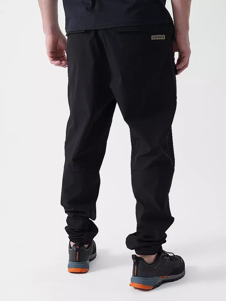 ICEPEAK | Pantalon de randonnée cargo Yavor pour hommes |
