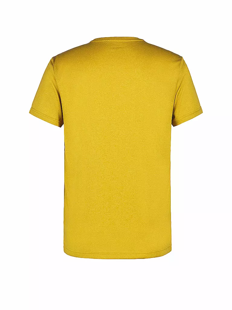 ICEPEAK | T-shirt de sport pour homme Baerden | 