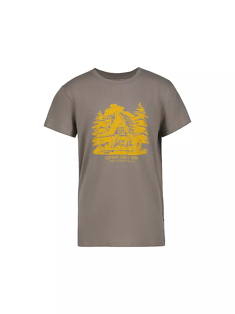 ICEPEAK | T-shirt garçon Leadville Jr | Gris