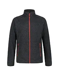 ICEPEAK | Veste polaire Bode pour homme | Gris