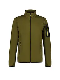ICEPEAK | Veste polaire Bredstedt pour hommes | Olive