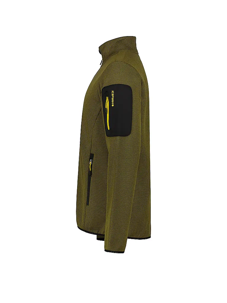 ICEPEAK | Veste polaire Bredstedt pour hommes |
