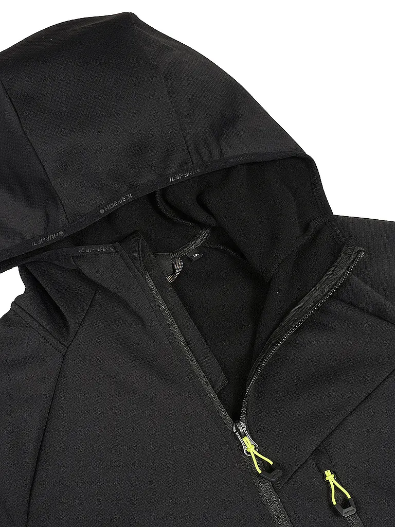 ICEPEAK | Veste polaire homme Danby à capuche |