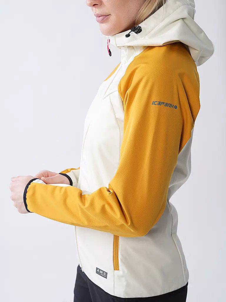 ICEPEAK | Veste softshell à capuche Braden pour femmes |