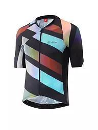 LÖFFLER | Herren Radtrikot Statement FZ | Noir