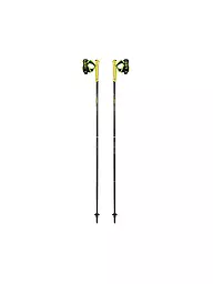 LEKI | Bâtons de marche nordique Evotrail FX.One TA | Gris