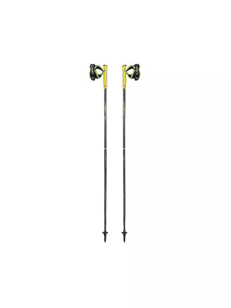 LEKI | Bâtons de marche nordique Evotrail FX.One TA | Gris