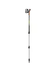 LEKI | Bâtons de marche nordique Traveller Alu | Noir