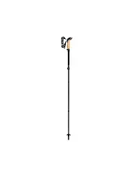 LEKI | Bâtons de randonnée Black Series FX Carbon | Noir