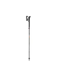 LEKI | Bâtons de randonnée Makalu FX Carbon | Noir