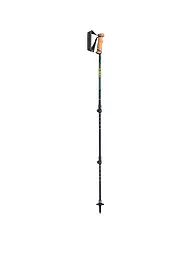 LEKI | Bâtons de trekking Legacy Lite AS | Noir