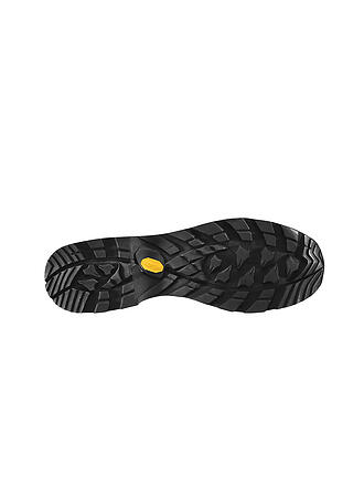 LOWA | Chaussures de montagne pour hommes Camino Evo GTX
