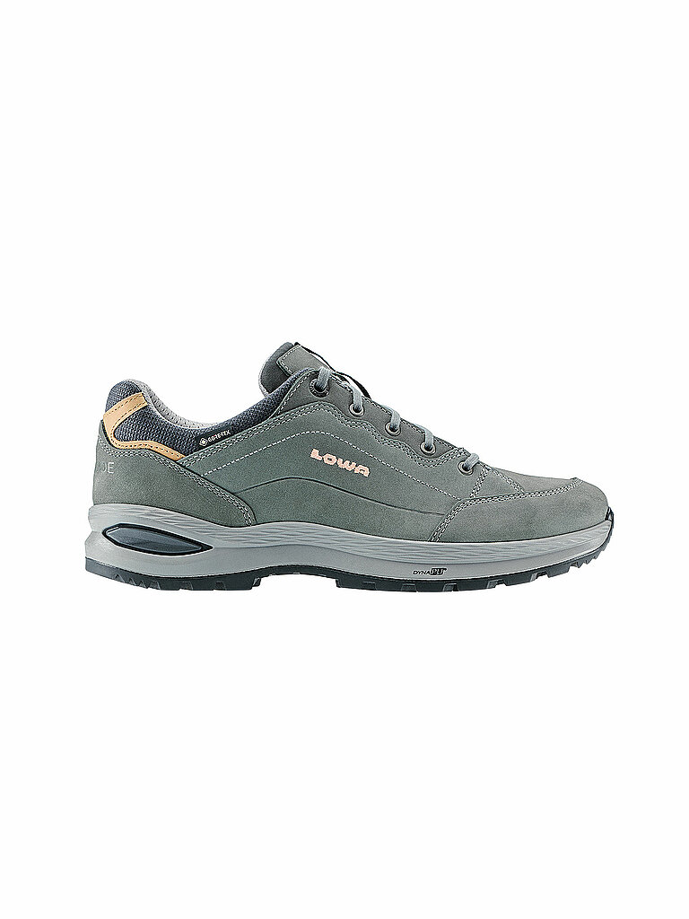 Chaussures multifonctionnelless Renegade Evo GTX Low gris 42 1/2