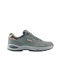 LOWA | Chaussures multifonctionnelles pour femmes Renegade Evo GTX Low | Gris