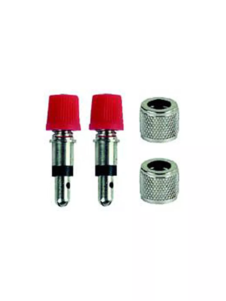 M-PROLINE | Valve flash + écrou 2 pièces | Argent