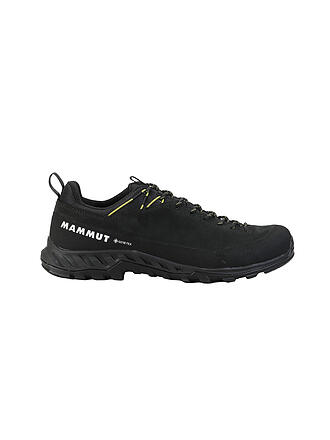 MAMMUT | Chaussures d'approche pour hommes Alnasca IV Low LTH GTX