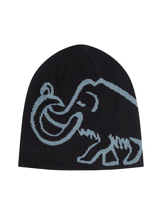 MAMMUT | Bonnet Mammut Logo Reversible