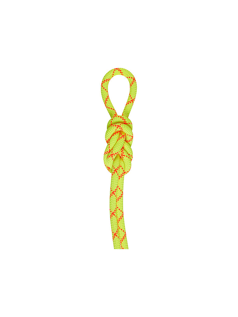 Corde 9.5 Alpine Core Protect Dry Rope 60m jaune