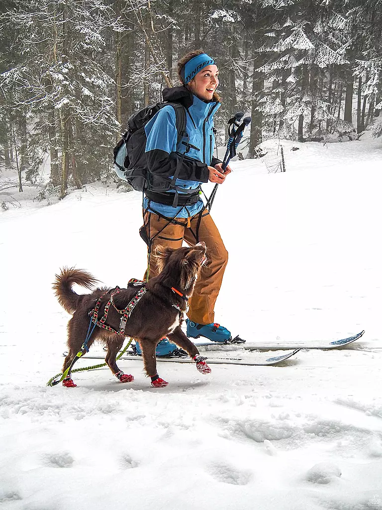MAMO PET SPORTS | Système de ceinture Infinity 360° Mamo |