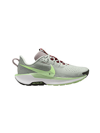NIKE | Chaussures de trail pour homme Pegasus Trail 5