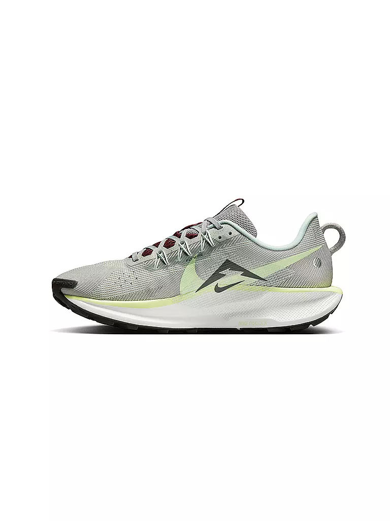 NIKE | Chaussures de trail pour homme Pegasus Trail 5 |