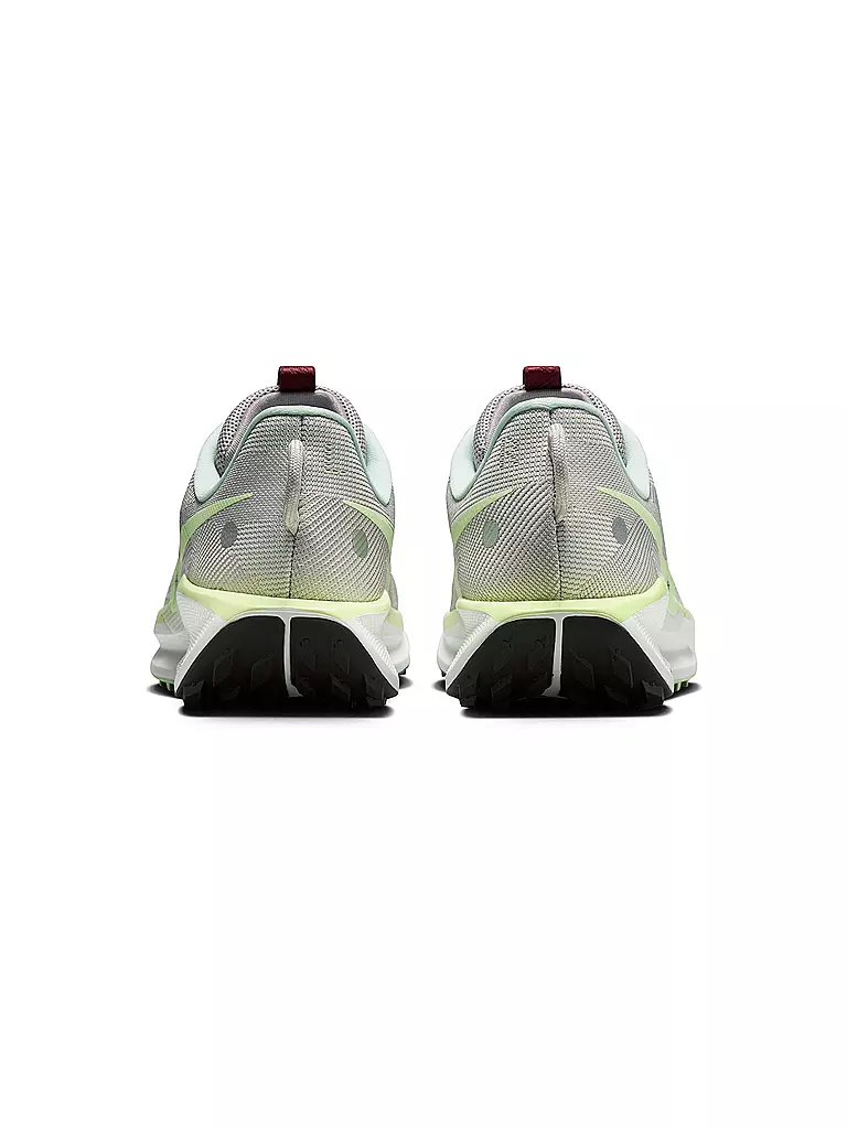 NIKE | Chaussures de trail pour homme Pegasus Trail 5 |