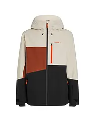O'NEILL | Veste de snowboard homme FWC Cruz Triple Hoodie | Multicolore