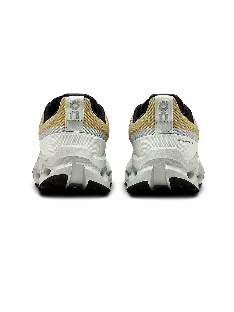 ON | Damen Traillaufschuhe Cloudsurfer Trail WP | Marron