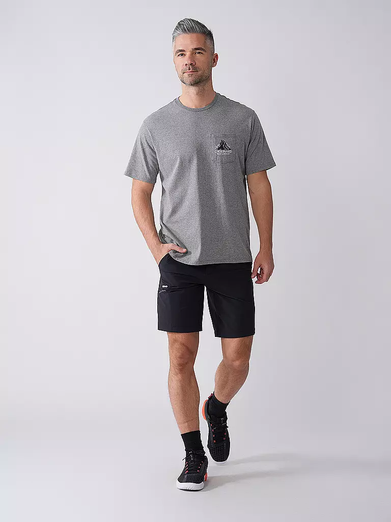PATAGONIA | T-shirt de sport Chouinard Crest pour hommes | Gris