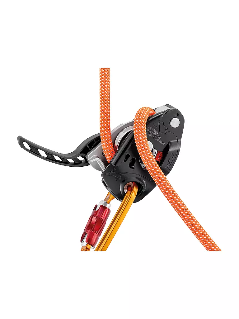 PETZL | Assureur Neox |