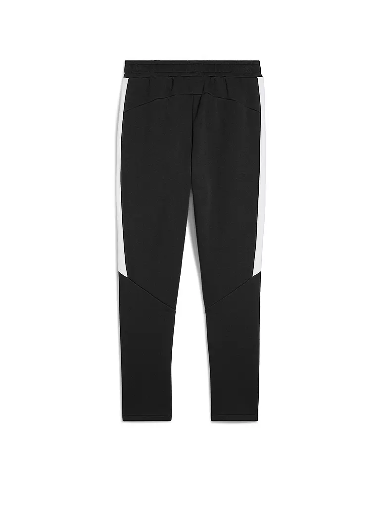 PUMA | Pantalon de jogging Team Evostripe pour hommes |