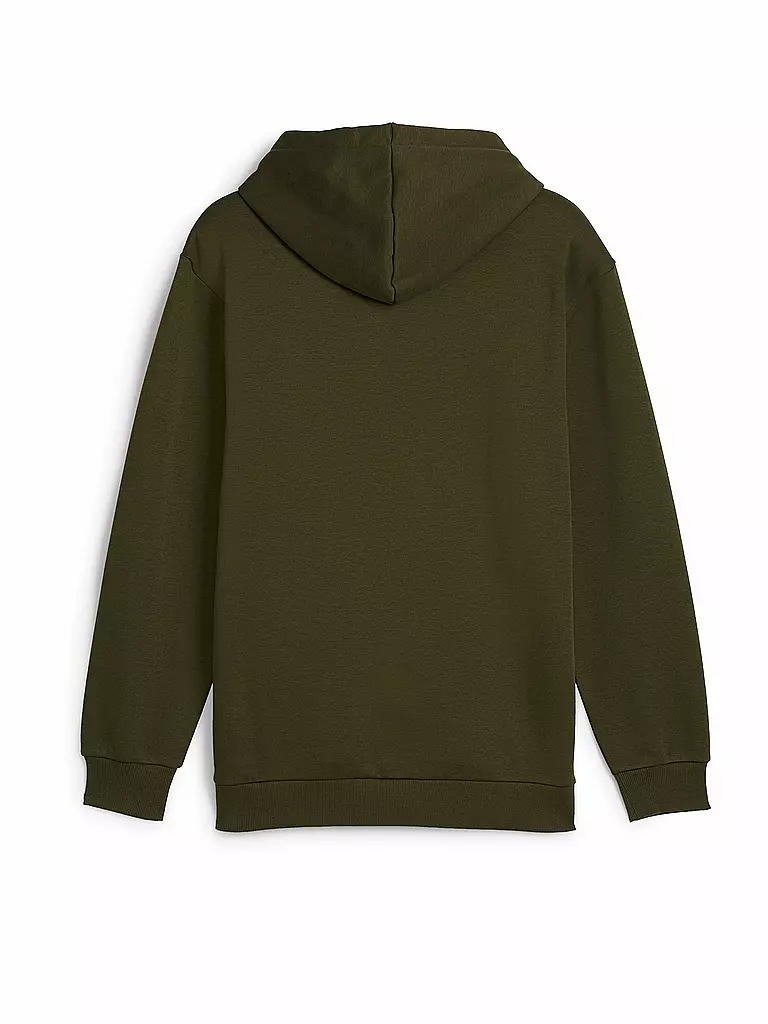 PUMA | Sweat à capuche homme Power Graphic Logo |