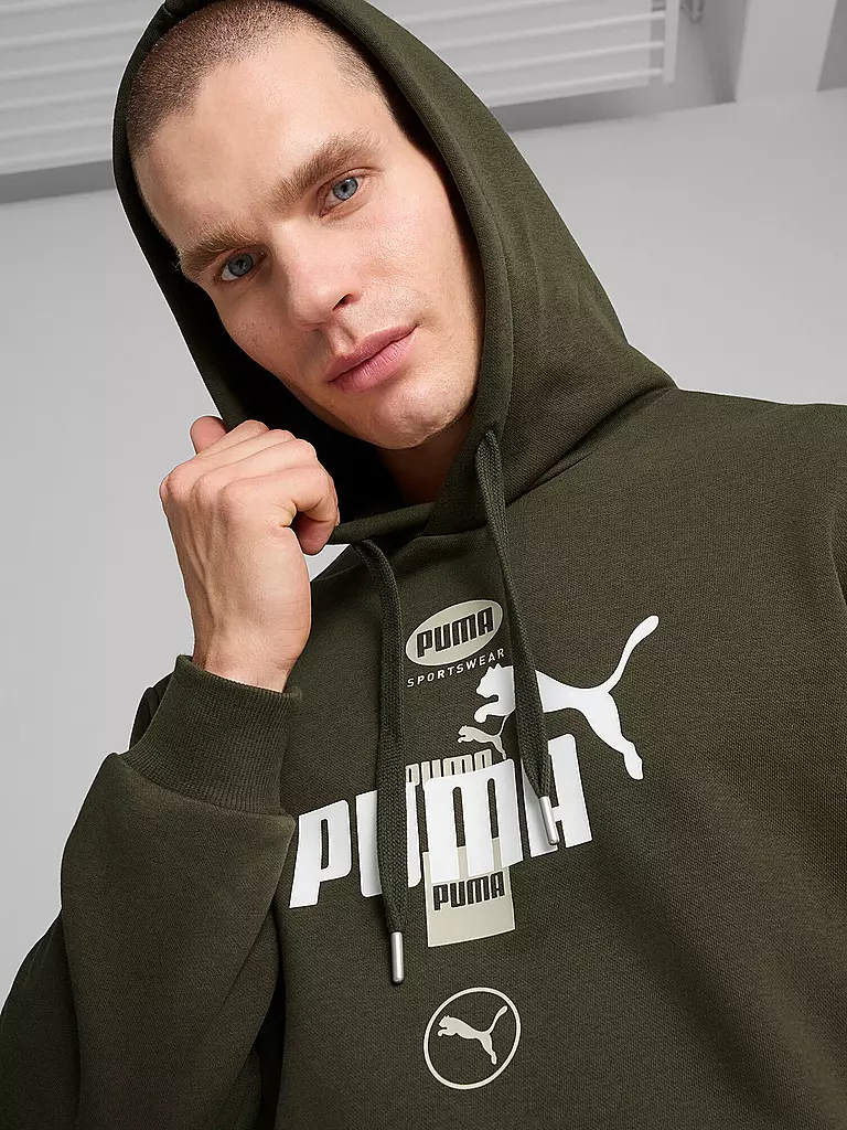 PUMA | Sweat à capuche homme Power Graphic Logo |