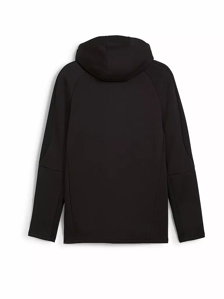 PUMA | Veste à capuche Evostripe pour homme |