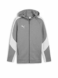 PUMA | Veste à capuche Teamevostripe pour hommes | Gris