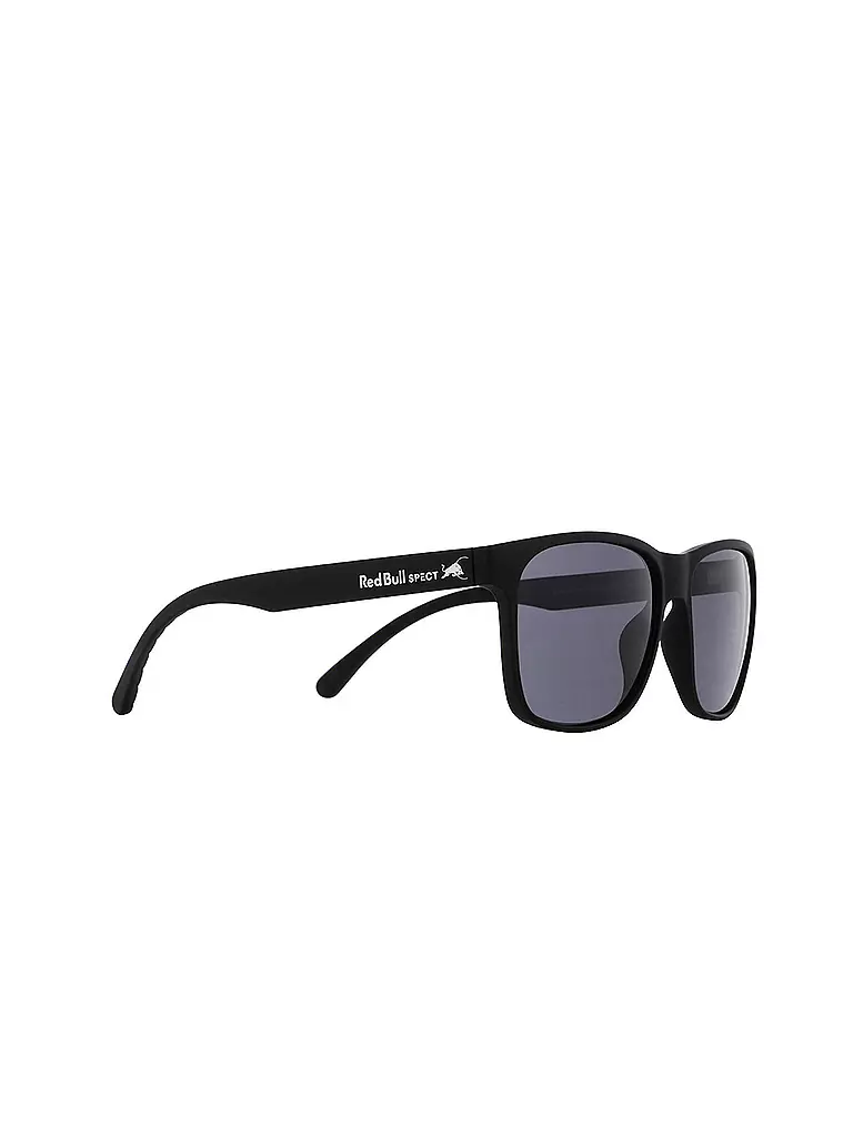 RED BULL SPECT | Lunettes de soleil Earle pour hommes | Noir