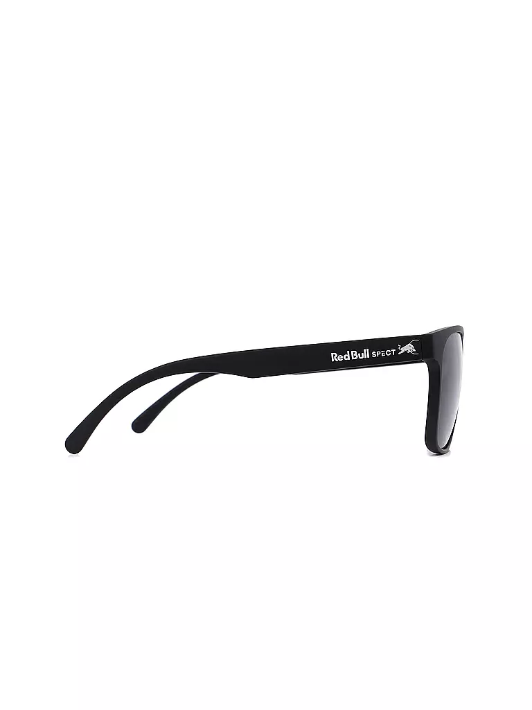 RED BULL SPECT | Lunettes de soleil Earle pour hommes |