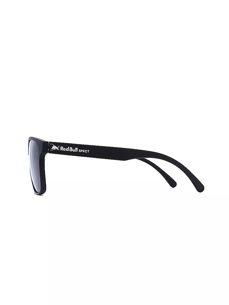 RED BULL SPECT | Lunettes de soleil Earle pour hommes |