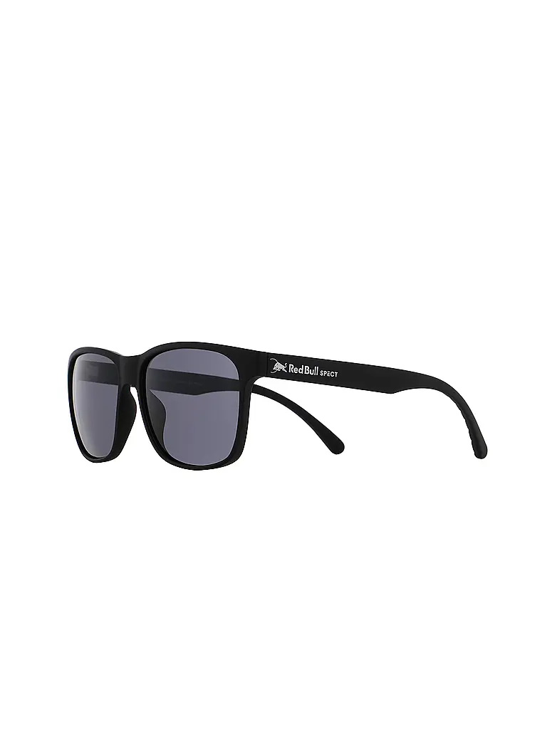 RED BULL SPECT | Lunettes de soleil Earle pour hommes |