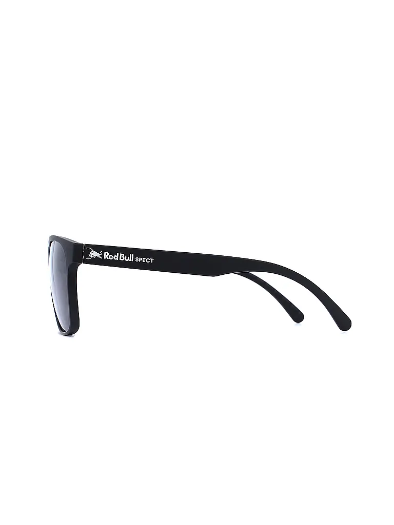 RED BULL SPECT | Lunettes de soleil Earle pour hommes |
