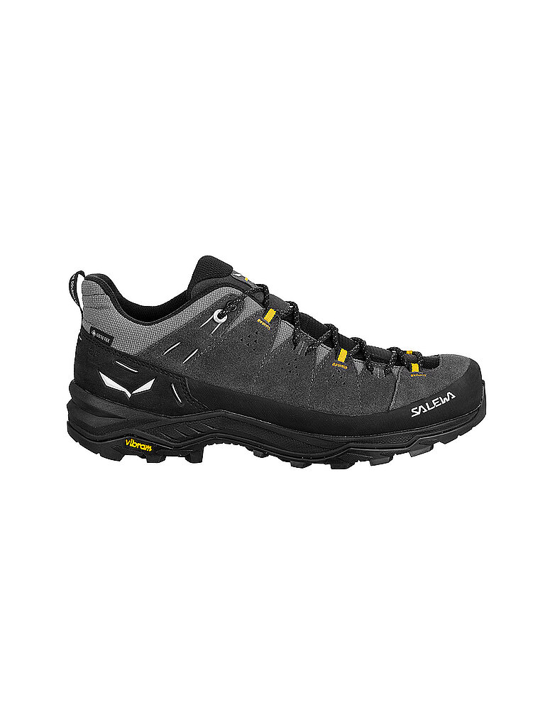 Chaussures de randonnée Alp Trainer 2 GTX gris 47