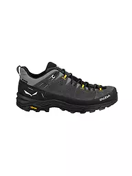 SALEWA | Chaussures de randonnée homme Alp Trainer 2 GTX | Gris