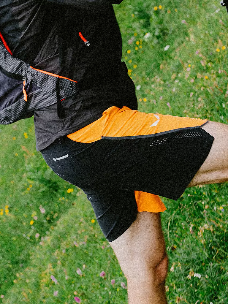 SALEWA | Short de randonnée pour homme Pedroc 2 Durastretch |