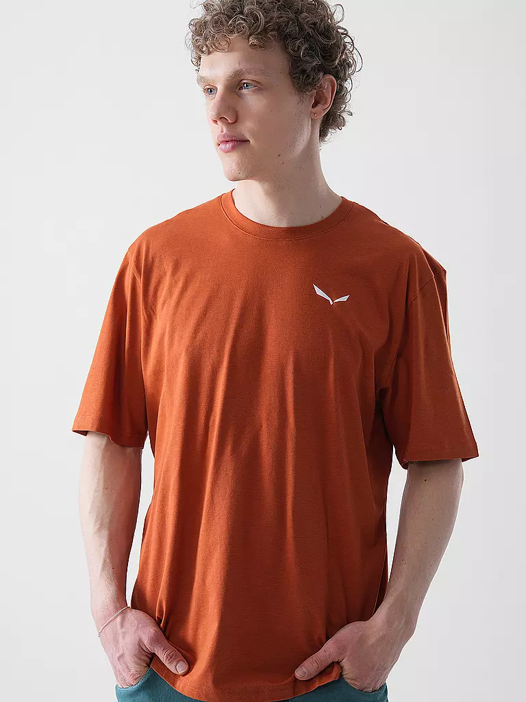 SALEWA | T-shirt de sport homme Eagle Sunset Loose |