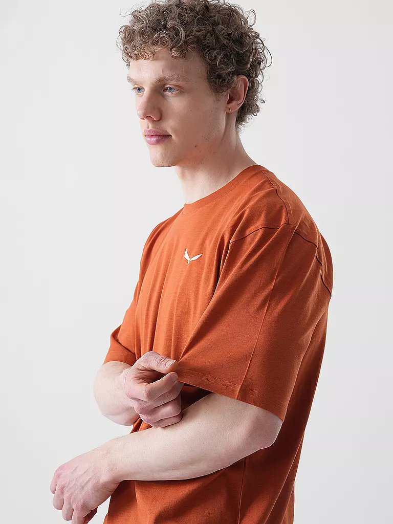 SALEWA | T-shirt de sport homme Eagle Sunset Loose |