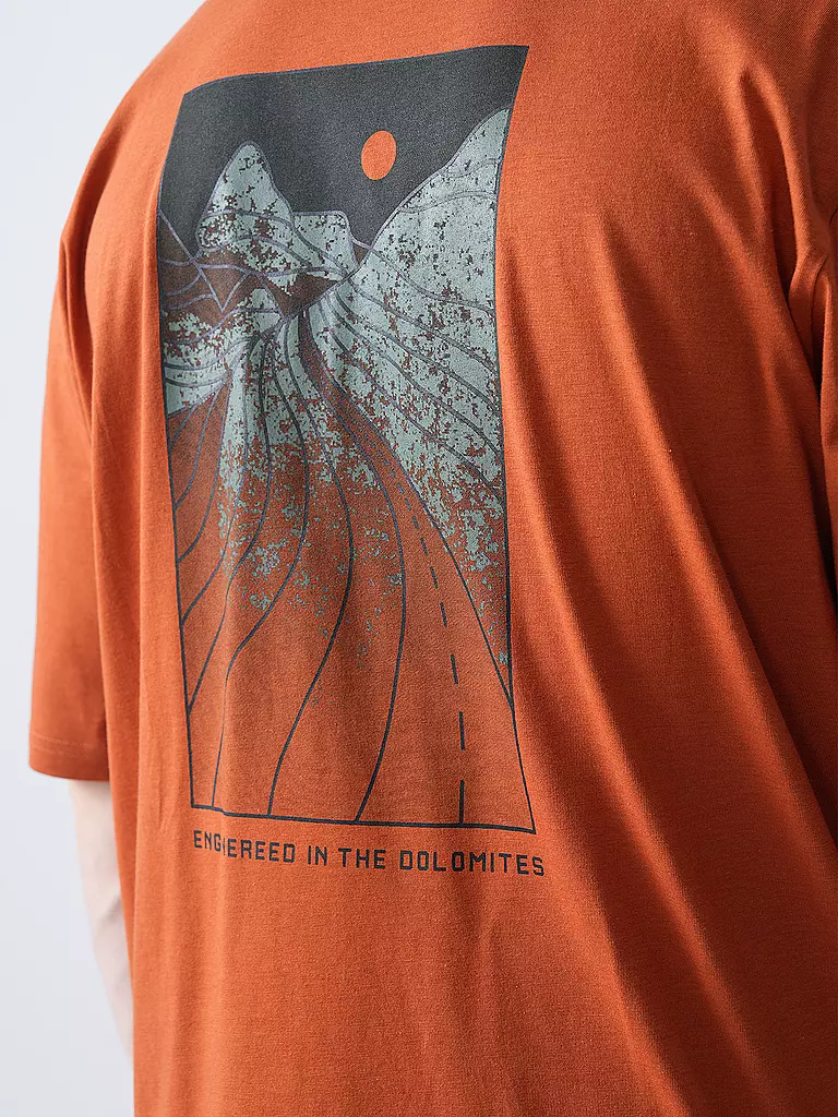 SALEWA | T-shirt de sport homme Eagle Sunset Loose |