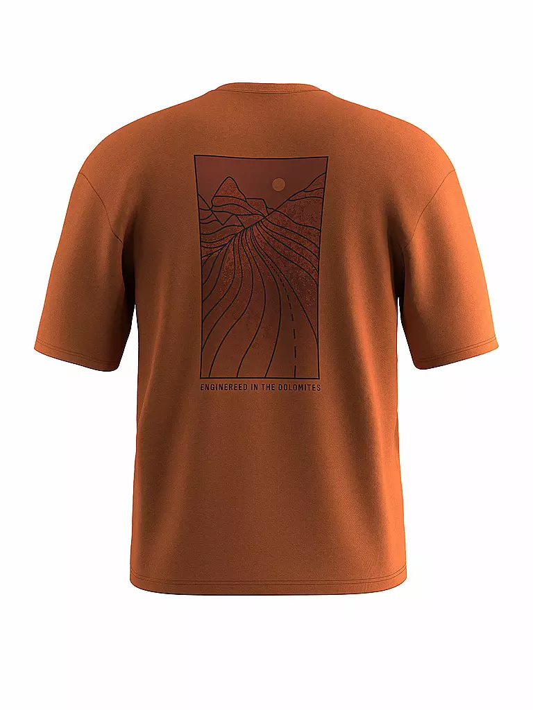SALEWA | T-shirt de sport homme Eagle Sunset Loose |